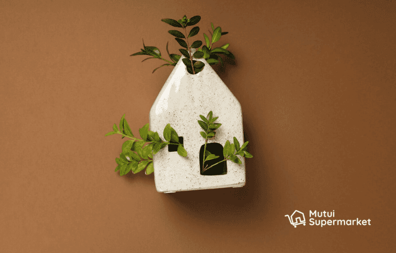 Mutuo Green cos’è, come funziona e quanto si risparmia